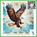 TA GOLD - We Fly | RealRack DB